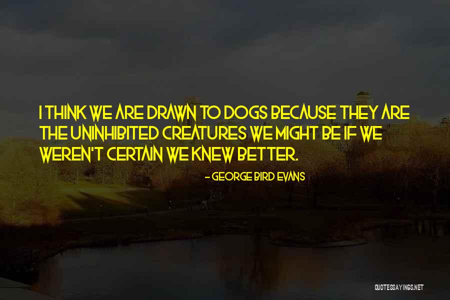 Morphine Like Herbs Quotes By George Bird Evans Morphine Like Herbs Quotes By George Bird Evans