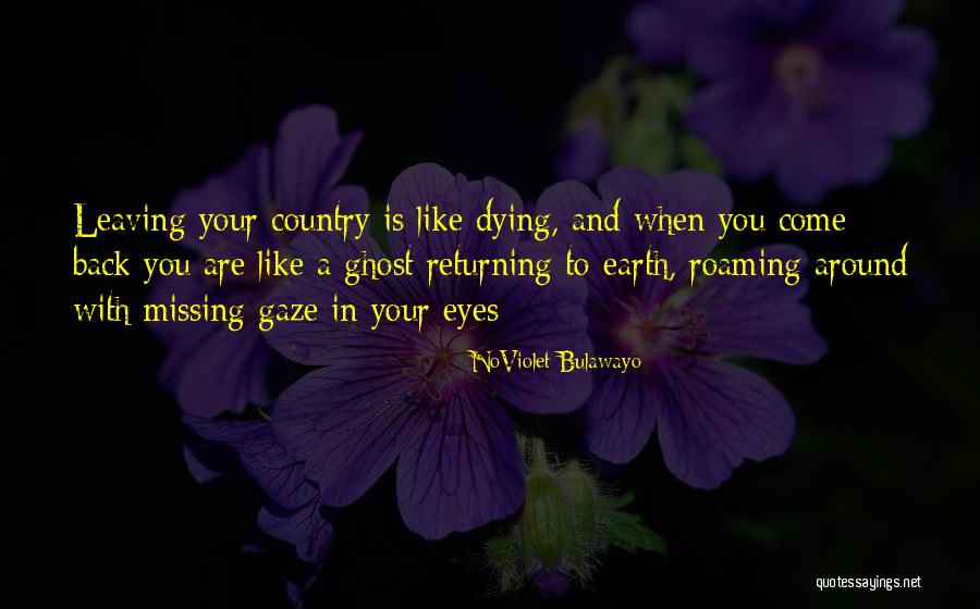 Morphine Like Medicine Quotes By NoViolet Bulawayo Morphine Like Medicine Quotes By NoViolet Bulawayo