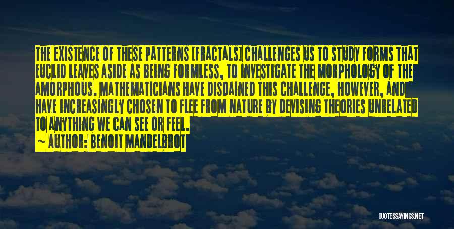 Morphology Quotes By Benoit Mandelbrot