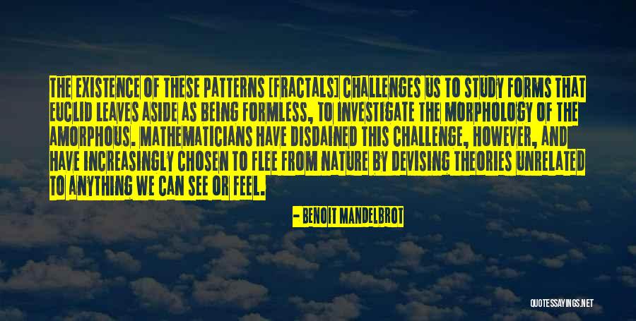 Morphology Quotes By Benoit Mandelbrot