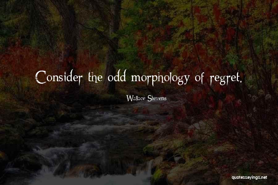 Morphology Quotes By Wallace Stevens