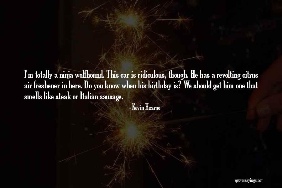 Morreale Quotes By Kevin Hearne Morreale Quotes By Kevin Hearne
