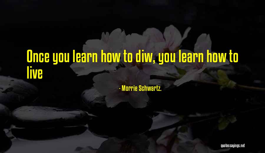 Morrie Schwartz. Quotes 1009922