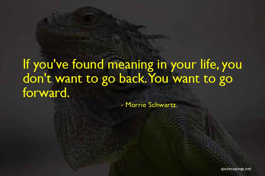 Morrie Schwartz. Quotes 2059070