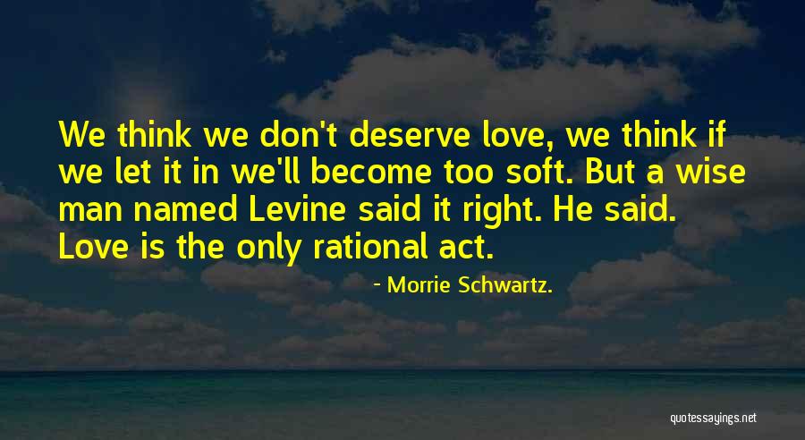 Morrie Tuesdays Quotes By Morrie Schwartz. Morrie Tuesdays Quotes By Morrie Schwartz.