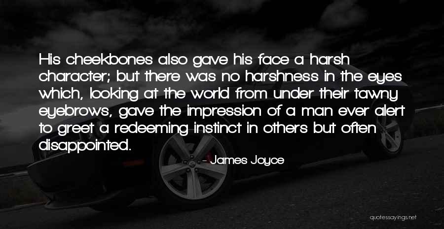 Morrigans Cave Quotes By James Joyce Morrigans Cave Quotes By James Joyce
