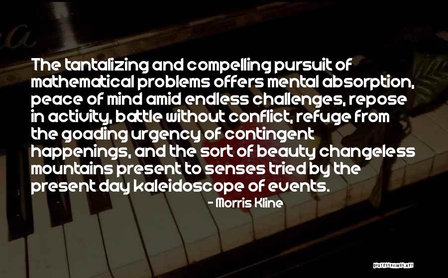 Morris Kline Quotes 1087094