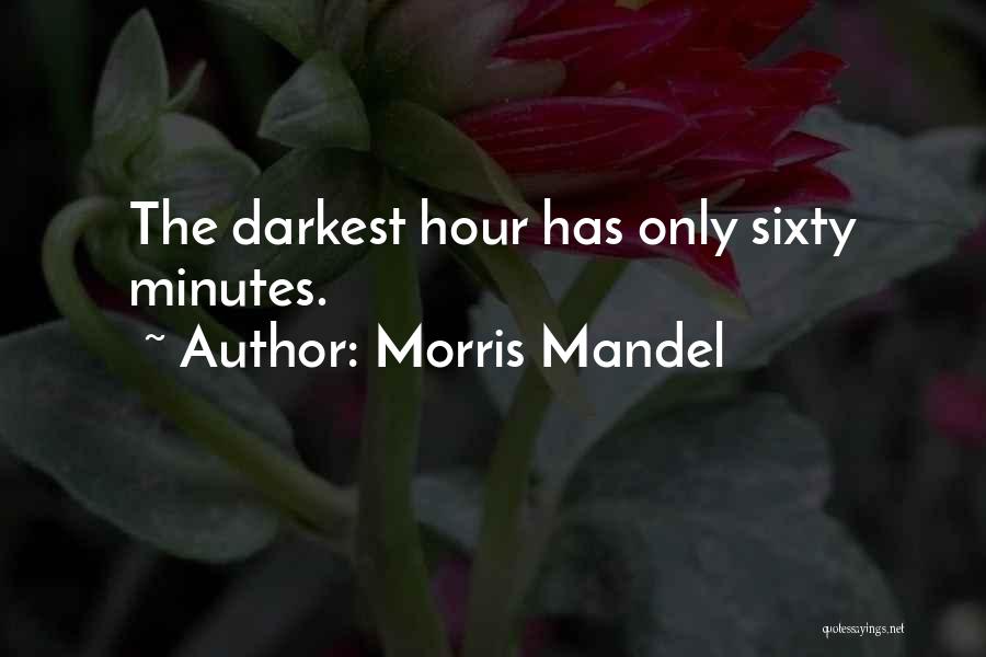 Morris Mandel Quotes 1534150