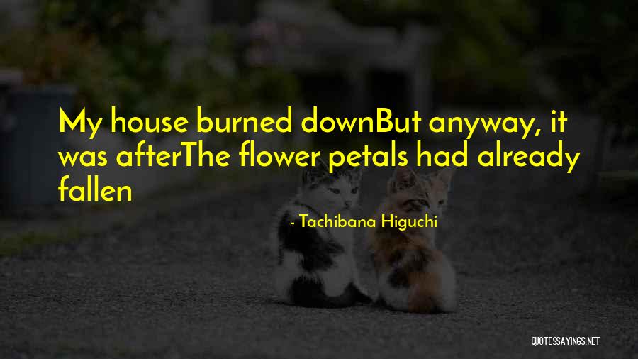 Morrish's Real Discipline Quotes By Tachibana Higuchi Morrish's Real Discipline Quotes By Tachibana Higuchi