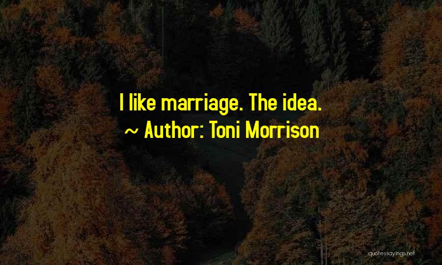 Morrison Quotes By Toni Morrison