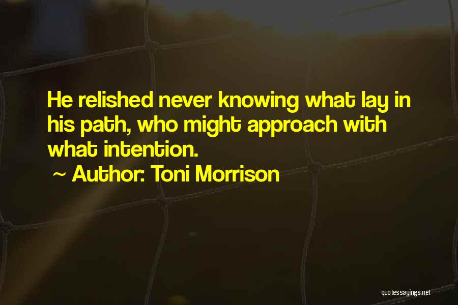 Morrison Quotes By Toni Morrison