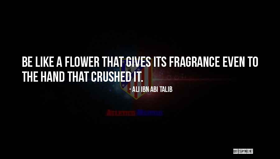 Morrissey November Quotes By Ali Ibn Abi Talib Morrissey November Quotes By Ali Ibn Abi Talib