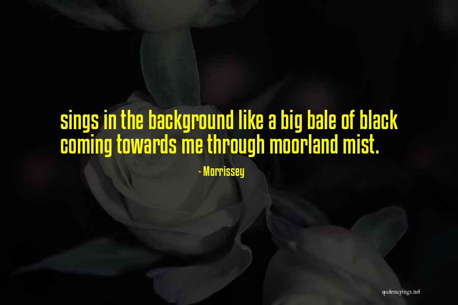 Morrissey Quotes 1876137 Morrissey Quotes 1876137