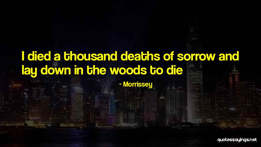 Morrissey Quotes 1926677