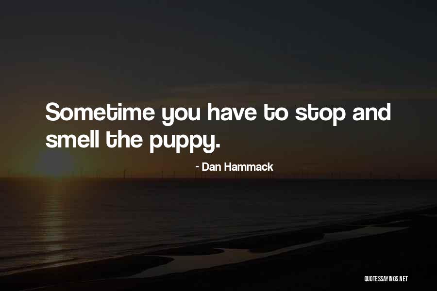 Morrone Pastry Quotes By Dan Hammack Morrone Pastry Quotes By Dan Hammack