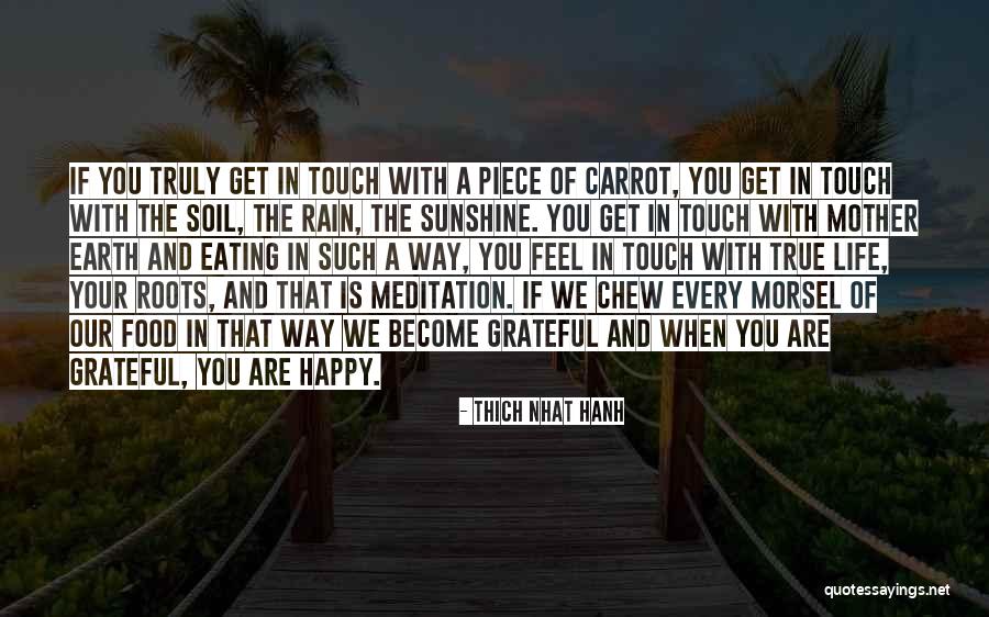 Morsel Of Food Quotes By Thich Nhat Hanh Morsel Of Food Quotes By Thich Nhat Hanh