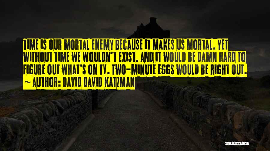 Mortal Enemy Quotes By David David Katzman