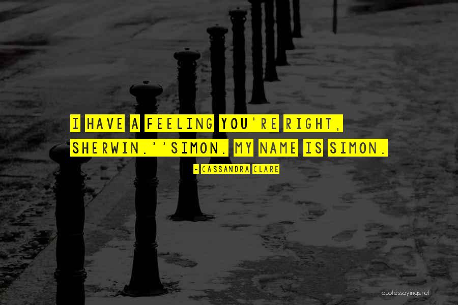 Mortal Instruments Magnus Quotes By Cassandra Clare
