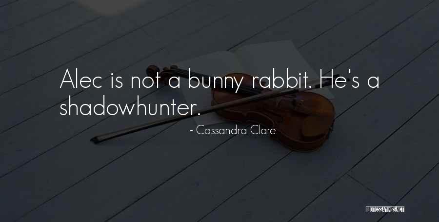Mortal Instruments Magnus Quotes By Cassandra Clare