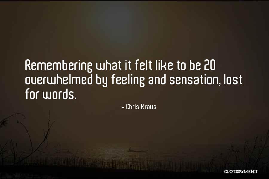 Mortal Instruments Magnus Quotes By Chris Kraus Mortal Instruments Magnus Quotes By Chris Kraus