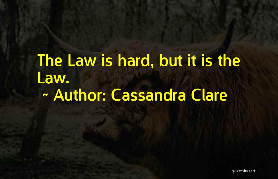 Mortal Instruments Quotes By Cassandra Clare