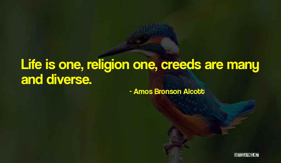 Mortal Instruments Series Funny Quotes By Amos Bronson Alcott