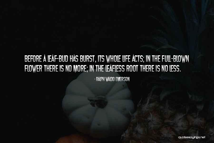Mortal Kombat Sub Zero Quotes By Ralph Waldo Emerson Mortal Kombat Sub Zero Quotes By Ralph Waldo Emerson