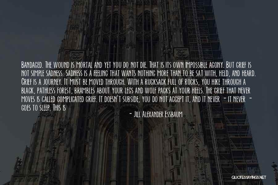 Mortal Wound Quotes By Jill Alexander Essbaum Mortal Wound Quotes By Jill Alexander Essbaum