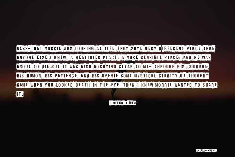 Mortellaro Cattle Quotes By Mitch Albom Mortellaro Cattle Quotes By Mitch Albom