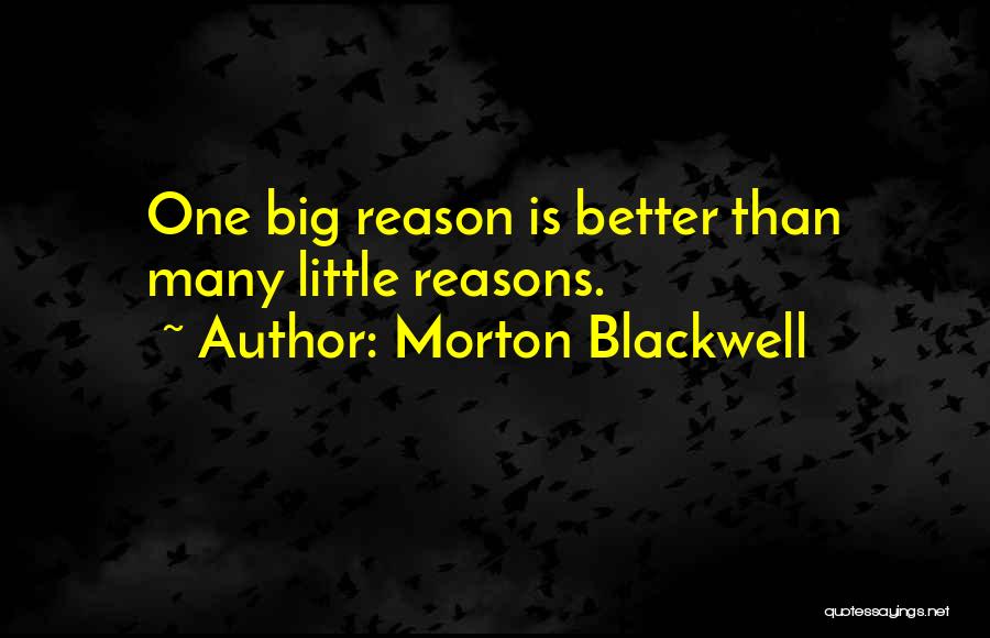 Morton Blackwell Quotes 1871688