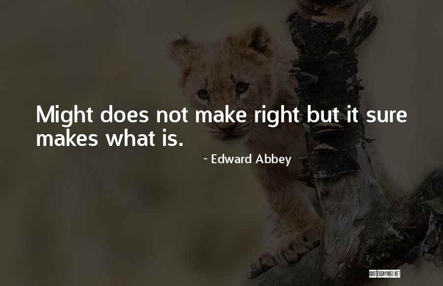 Mortuous Bandcamp Quotes By Edward Abbey