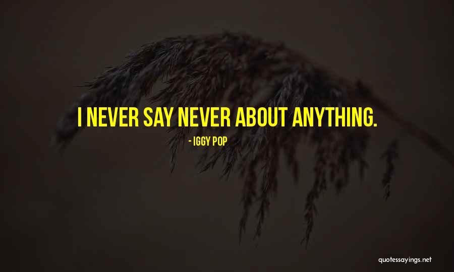 Morza Europy Quotes By Iggy Pop Morza Europy Quotes By Iggy Pop