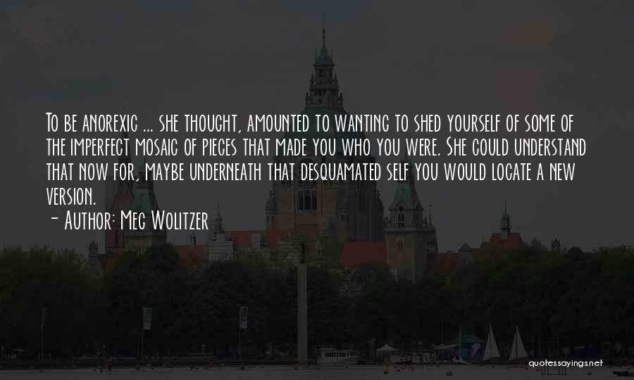Mosaic Quotes By Meg Wolitzer