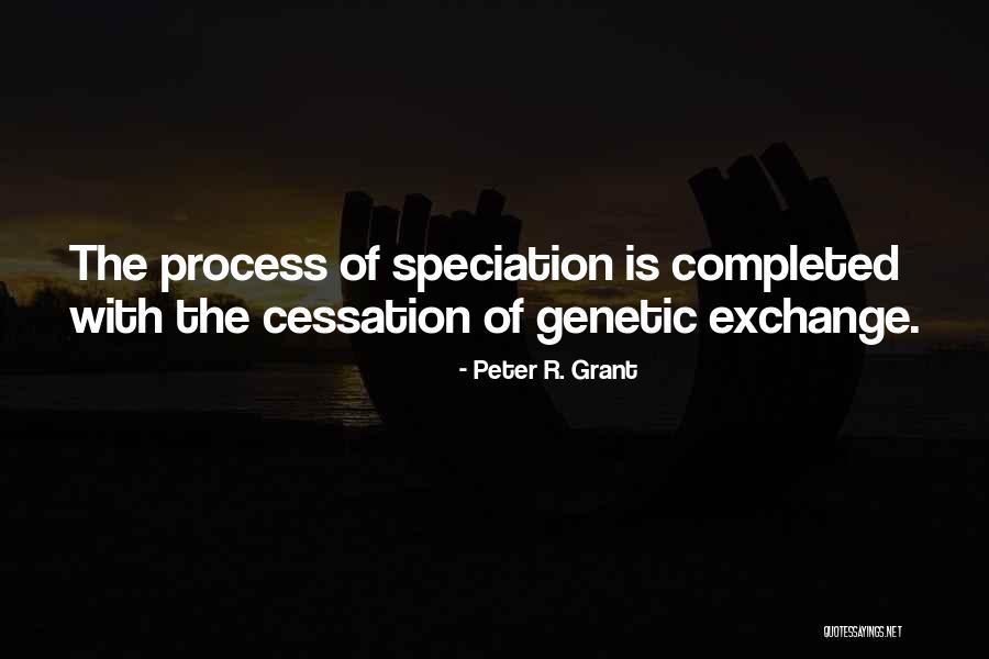 Moschellos Pizza Quotes By Peter R. Grant Moschellos Pizza Quotes By Peter R. Grant