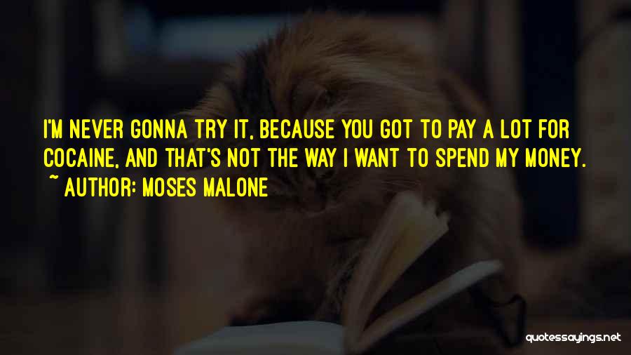 Moses Malone Quotes 1036805