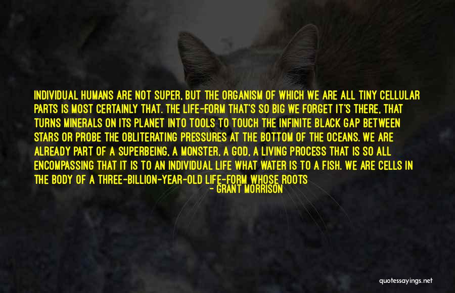 Moseses Quotes By Grant Morrison Moseses Quotes By Grant Morrison