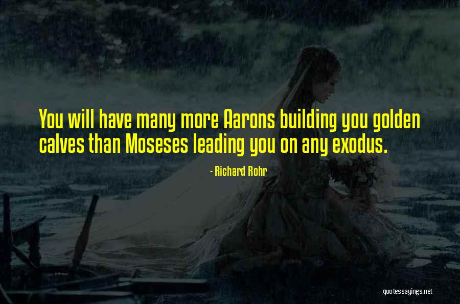 Moseses Quotes By Richard Rohr Moseses Quotes By Richard Rohr