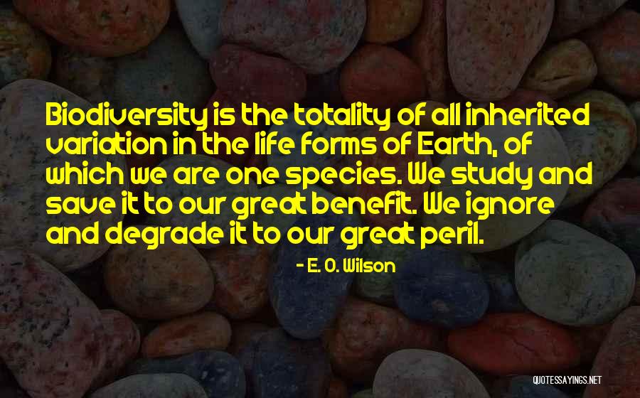 Mosheh Lichtenstein Quotes By E. O. Wilson Mosheh Lichtenstein Quotes By E. O. Wilson