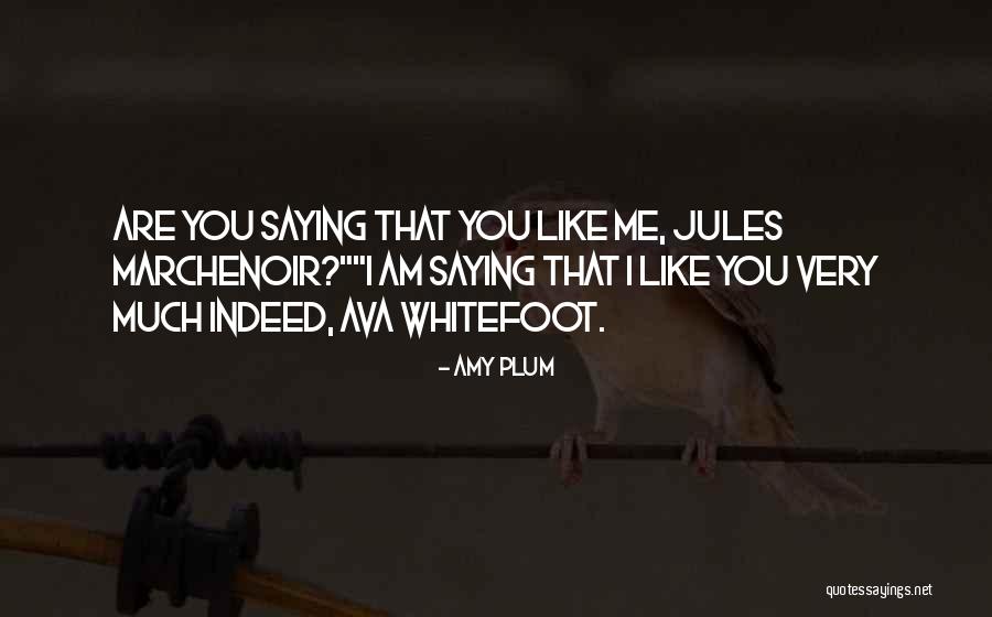 Moshina Quotes By Amy Plum Moshina Quotes By Amy Plum