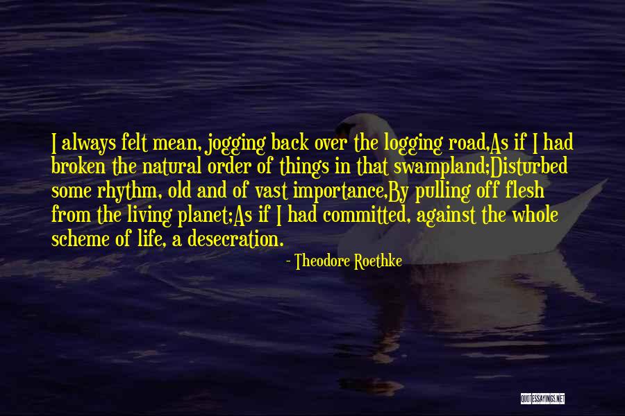 Moskar Dubrovnik Quotes By Theodore Roethke Moskar Dubrovnik Quotes By Theodore Roethke