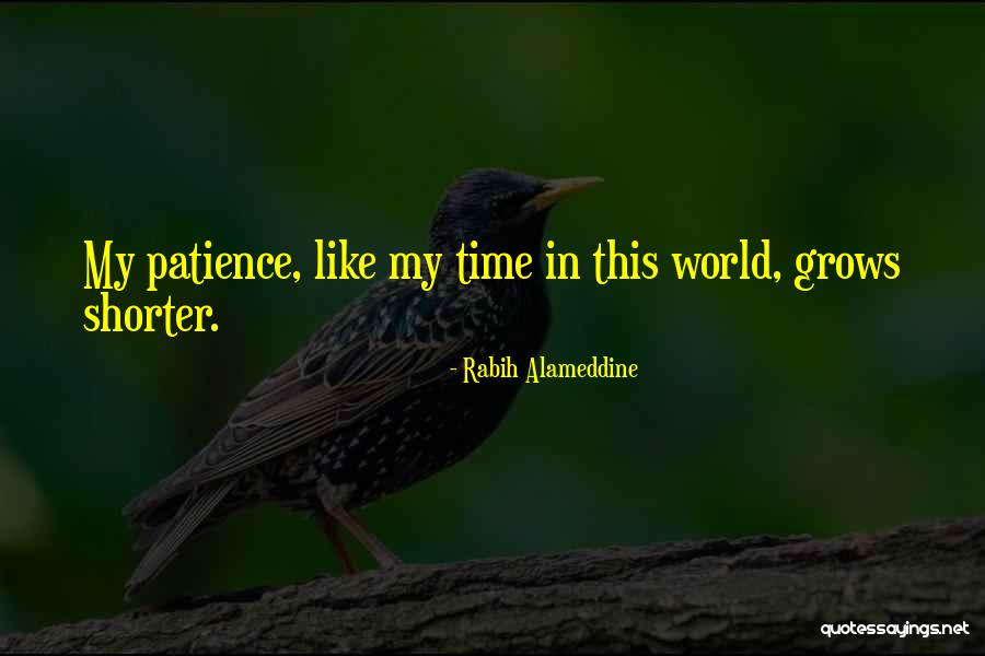 Mosner Veal Quotes By Rabih Alameddine Mosner Veal Quotes By Rabih Alameddine