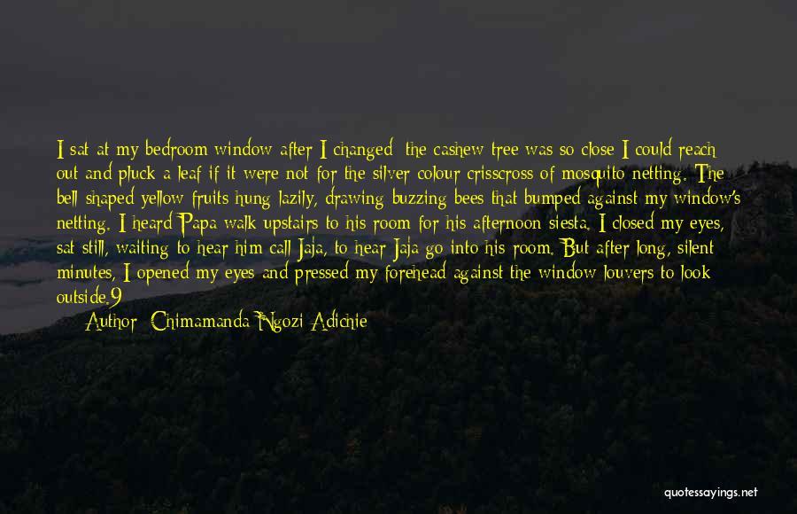 Mosquito Quotes By Chimamanda Ngozi Adichie