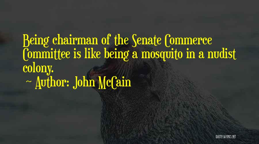 Mosquito Quotes By John McCain