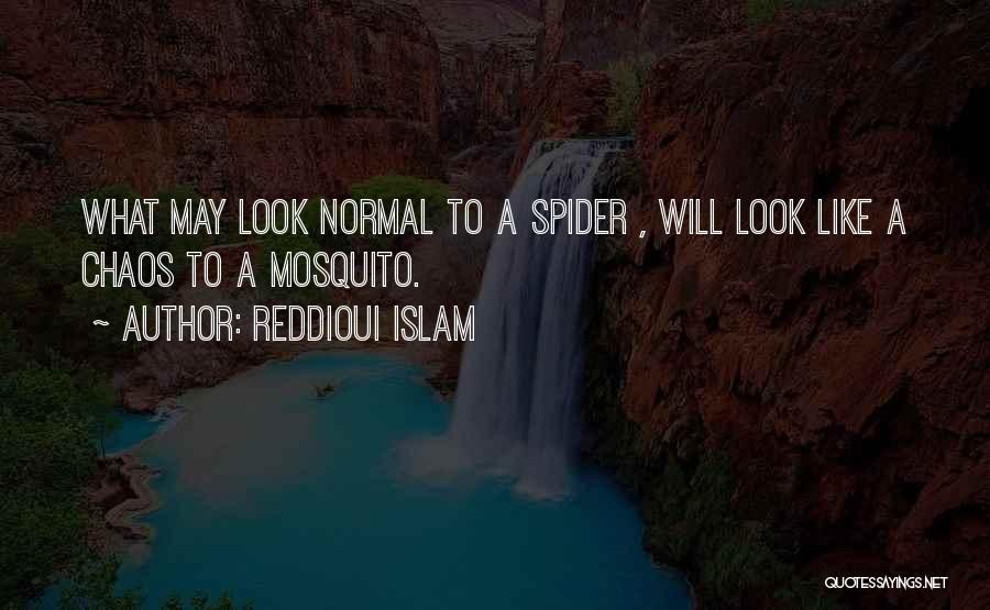 Mosquito Quotes By Reddioui Islam