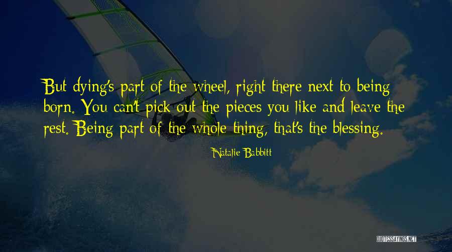 Mosquitoes Bites Quotes By Natalie Babbitt Mosquitoes Bites Quotes By Natalie Babbitt