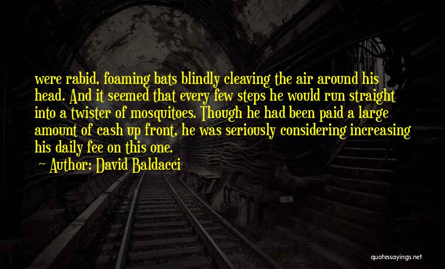 Mosquitoes Quotes By David Baldacci