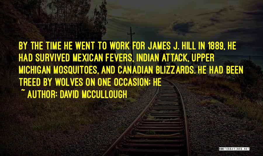 Mosquitoes Quotes By David McCullough