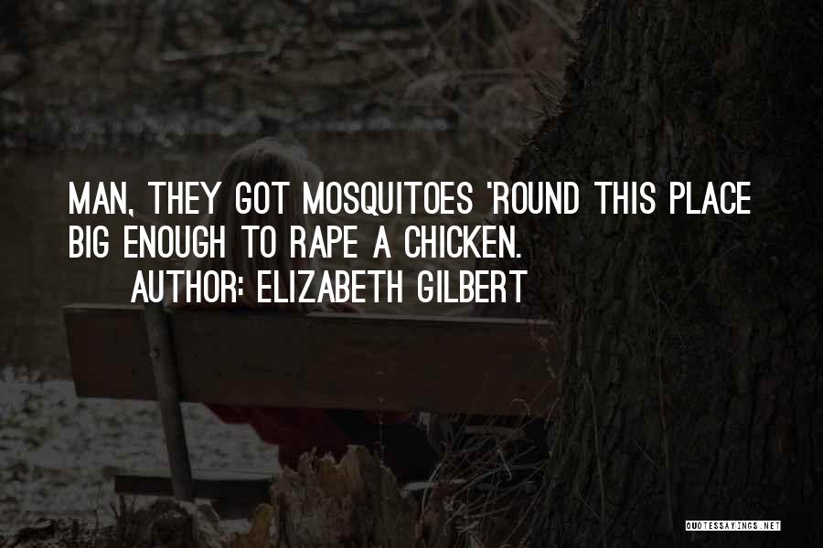 Mosquitoes Quotes By Elizabeth Gilbert