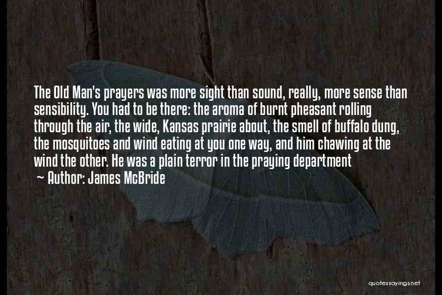 Mosquitoes Quotes By James McBride