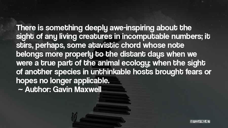Most Applicable Quotes By Gavin Maxwell